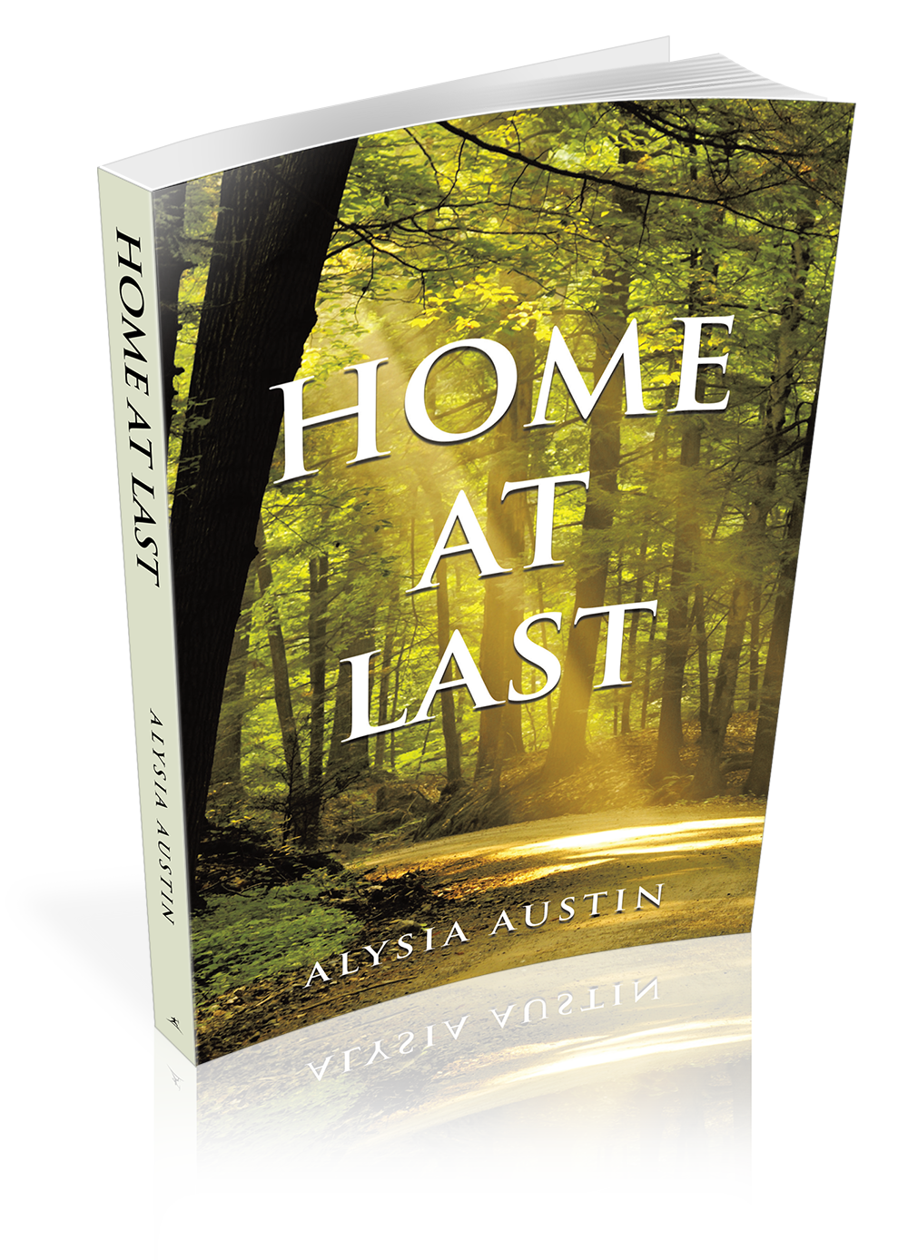 About the book alysia austin